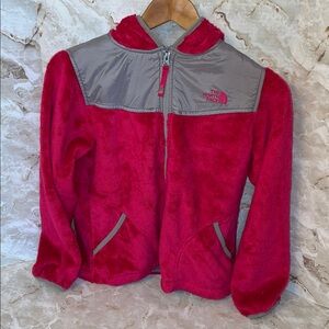 The North Face Girls Oso Hoodie Fleece Jacket-Razzle Pink (Size Large 14-16)